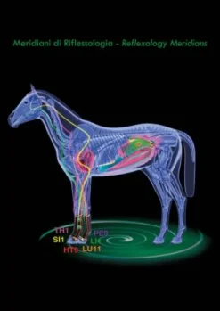 Guêtres de repos thérapeutiques Zandona Air antérieurs