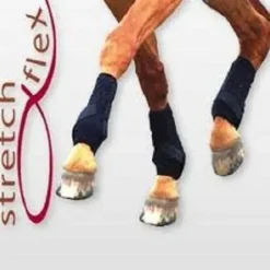 Guêtres Equilibrium dressage simples