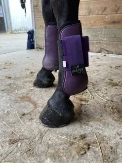 Guêtres Norton violettes taille cheval