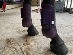Guêtres Norton violettes taille cheval