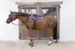 Guêtres Velvet Contrast - Kentucky