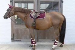 Guêtres Velvet Contrast - Kentucky