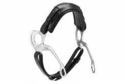 Hackamore - Stübben