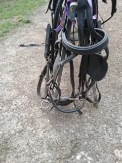 Harnais cheval de trait