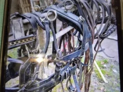 Harnais marathon en paire taille poney