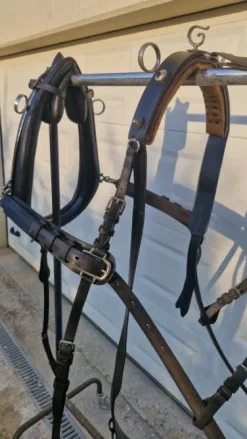 Harnais pour paire
