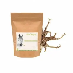 Harpago Cheval - Arthrose cheval