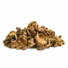 Harpagophytum Pur 1kg - Horse Remedy
