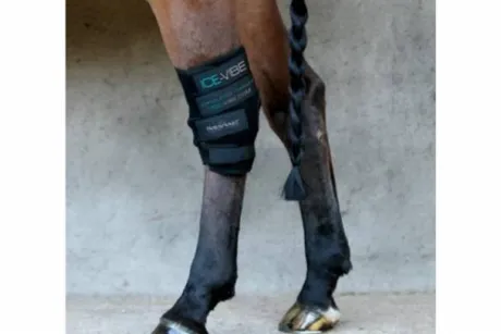 Ice-Vibe pour les jarrets du cheval