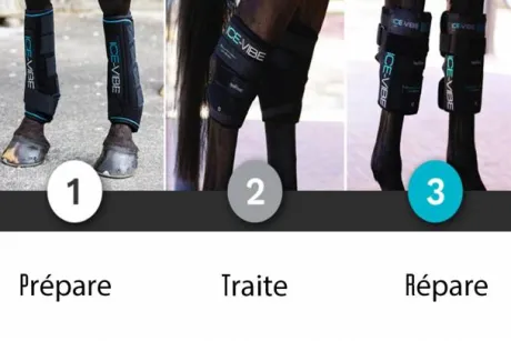 Ice-Vibe pour les jarrets du cheval