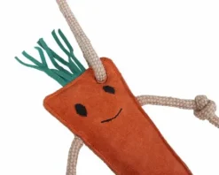 Jouet de box carotte - QHP - suède et fibre de coco