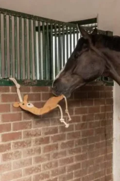 Jouet de box Lama - Kerbl