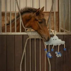 Jouet de box novy - QHP - biodégradable et durable