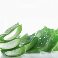 Jus d'Aloé Vera - Horse Remedy