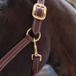 Licol cuir - Petitpas