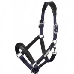 Licol cuir capella Lemieux