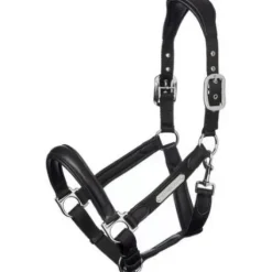 Licol cuir capella Lemieux