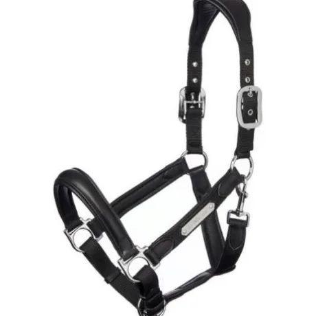 Licol cuir capella Lemieux