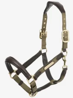 Licol cuir capella Lemieux