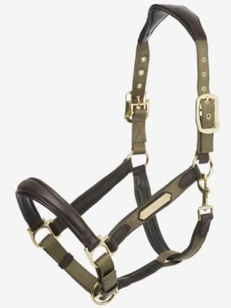 Licol cuir capella Lemieux