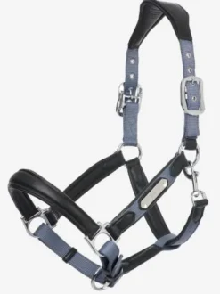 Licol cuir capella Lemieux