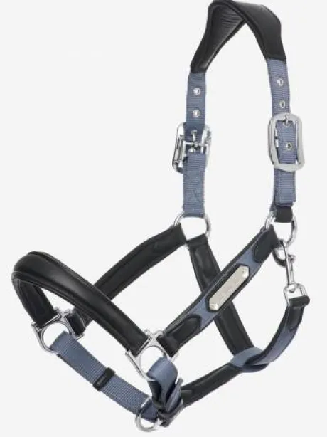 Licol cuir capella Lemieux