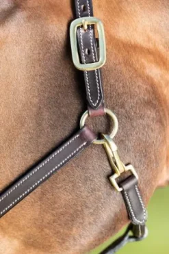 Licol cuir coutures crème noir - HFI - cuir souple