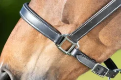 Licol cuir double réglage - HFI - cuir souple