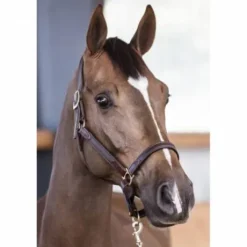 Licol cuir NT - Stubben - Cuir vachette souple