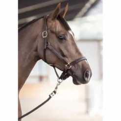 Licol cuir NT - Stubben - Cuir vachette souple
