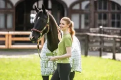 Licol Edinburgh - HKM - Cuir qualité longue durée