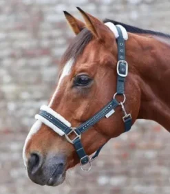 Licol Elegant Mouton Waldhausen