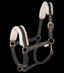 Licol Elegant Mouton Waldhausen