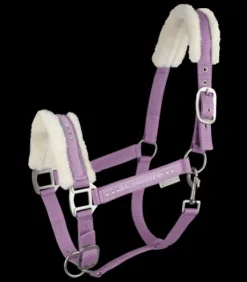 Licol Elegant Mouton Waldhausen