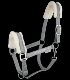 Licol Elegant Mouton Waldhausen