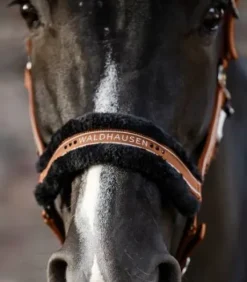 Licol Elegant Mouton Waldhausen