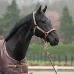 Licol et longe Deluxe - HORKA - Rembourré en mesh