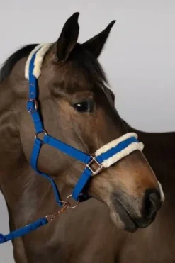 Licol et longe Harcour Holly