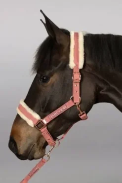 Licol et longe Harcour Holly