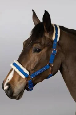 Licol et longe Harcour Holly