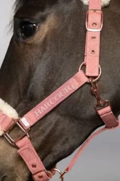 Licol et longe Harcour Holly