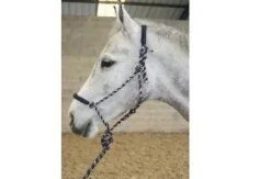 Licol ethologique JMR