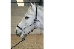 Licol ethologique JMR