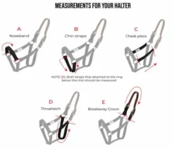 Licol flexible à rupture ThinLine, très sûr, sans frottements, large muserolle