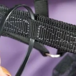 Licol flexible à rupture ThinLine, très sûr, sans frottements, large muserolle