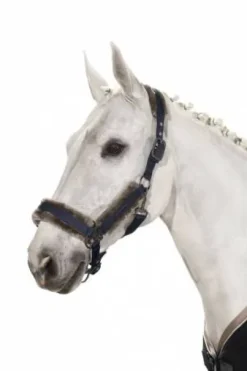 Licol Glossy Faux Fur Classic Sport S/S 2021  - Eskadron