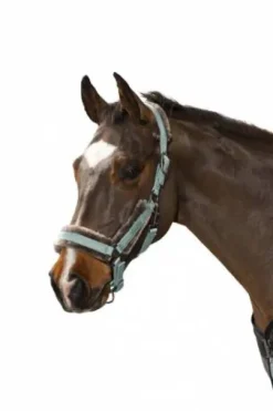 Licol Glossy Faux Fur Classic Sport S/S 2021  - Eskadron