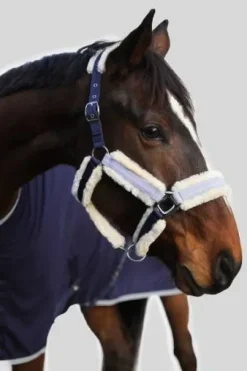 Licol Harcour Hizia (2 coloris)