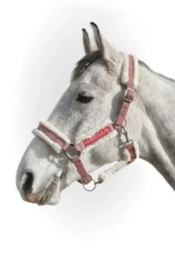 Licol Harcour Hizia (2 coloris)