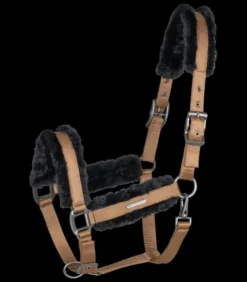 Licol mouton Paris Waldhausen